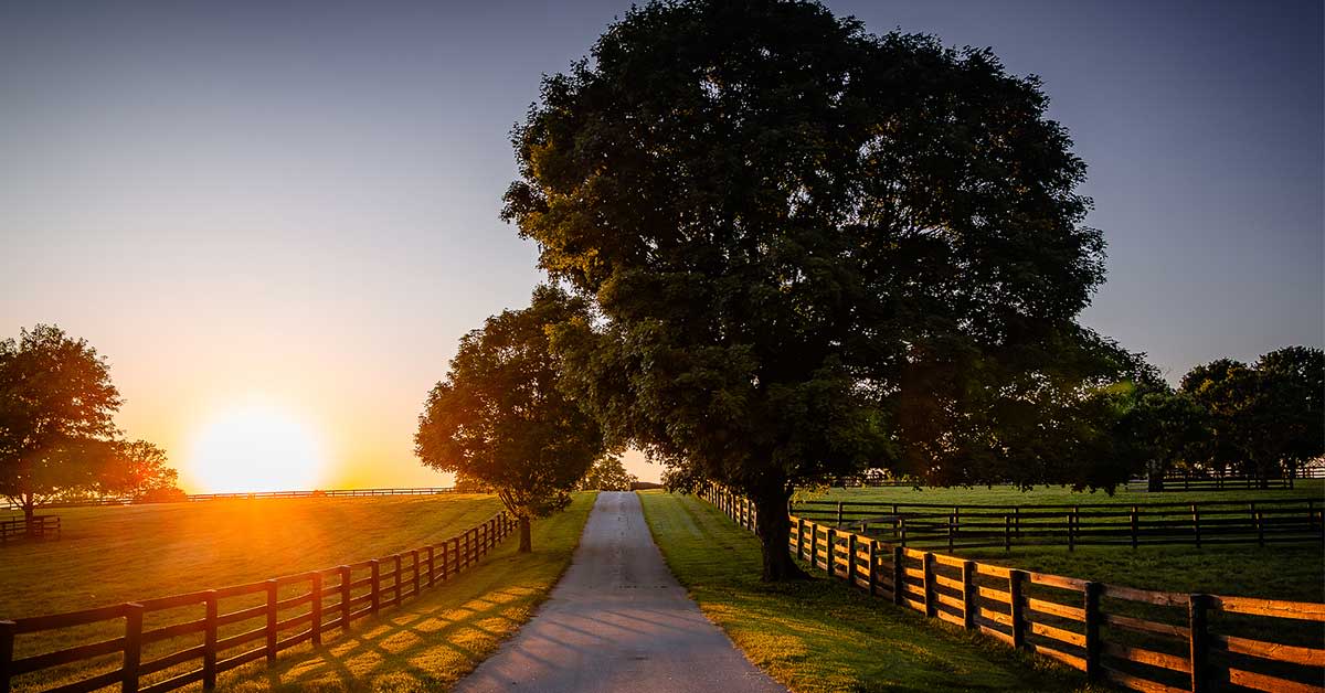 Brilliant set on drive to Overbrook Farm in Lexington, Kentucky