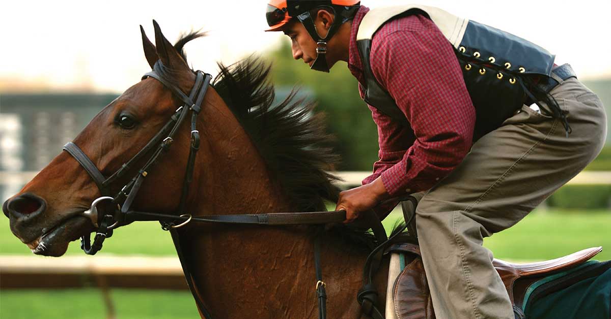 Horse and Jockey at Keeneland during morning practice.