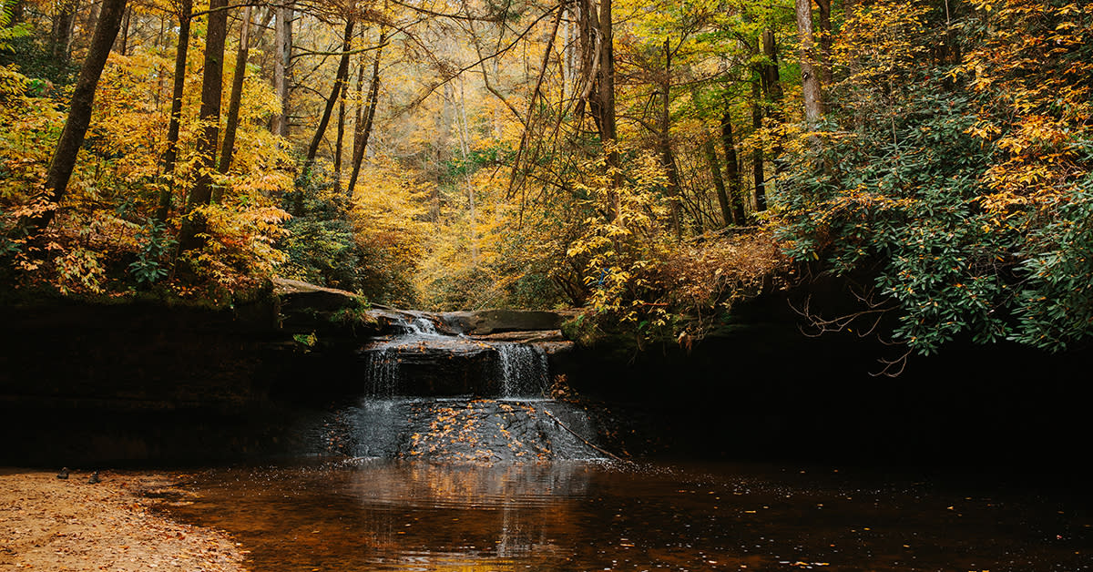 Gorge Fall Nature