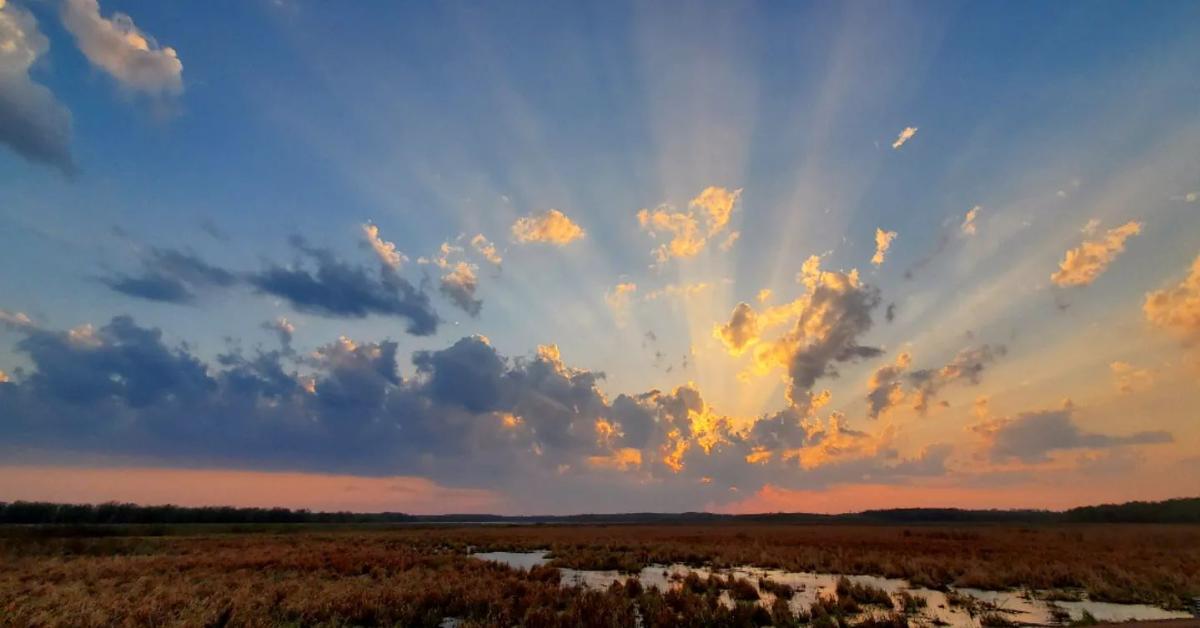 Mead Wildlife Area in the Springtime at Sunrise