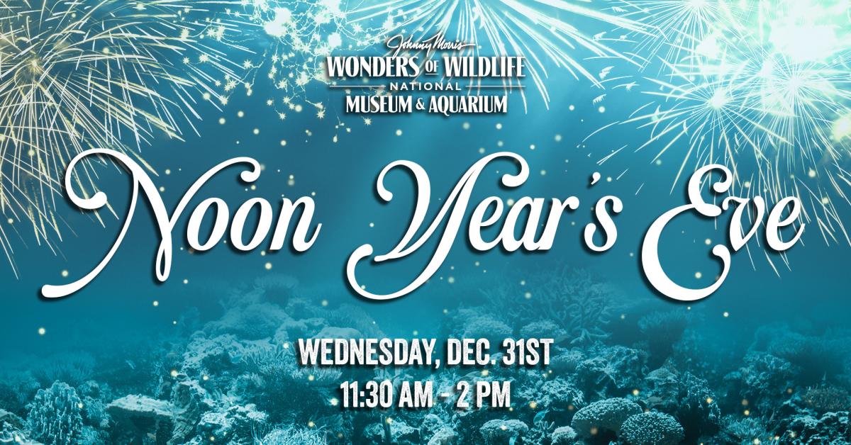 Noon Year's Eve Wonders of Wildlife