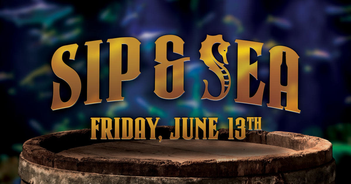Sip & Sea June 13th 2025