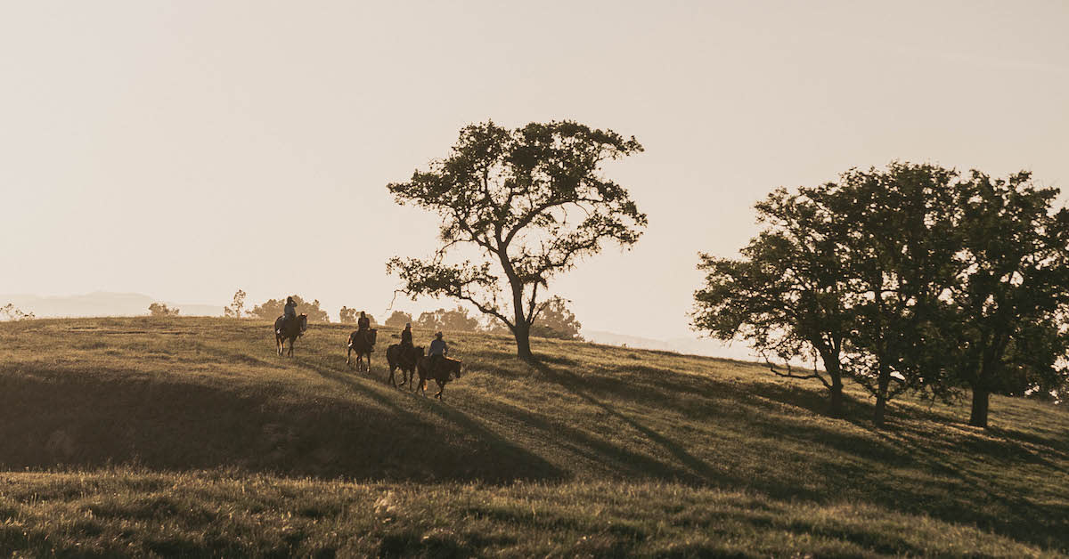 Cresting Hills on Horseback