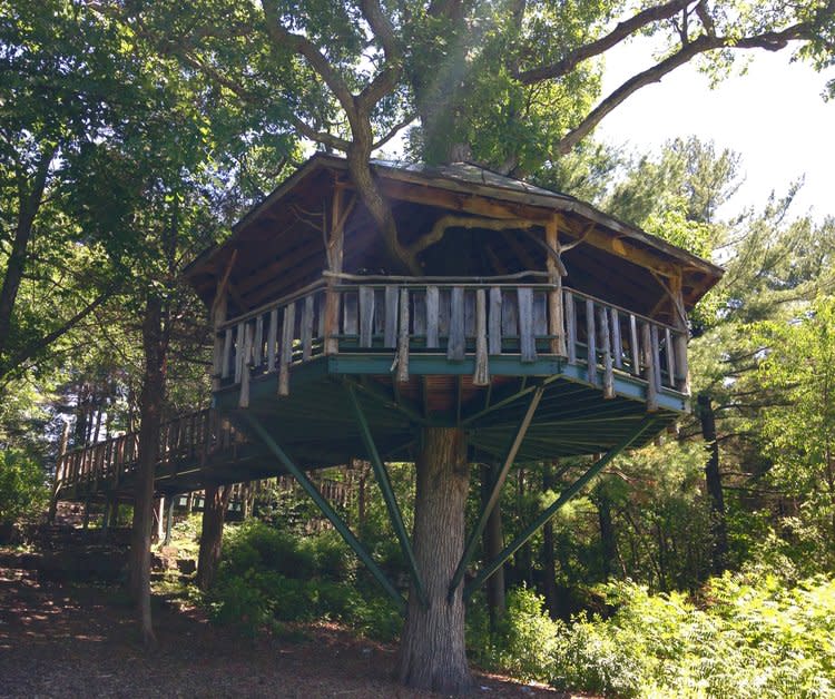 Oakledge Treehouse