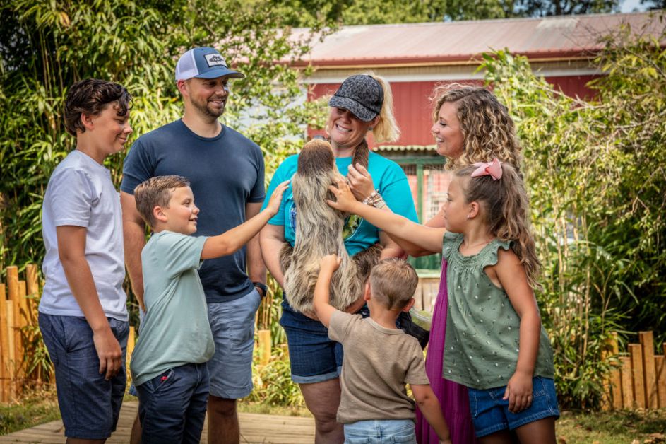 Family petting sloth