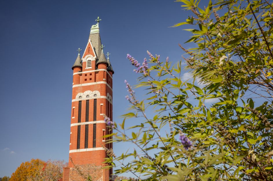 Bell Tower in a park and foliage