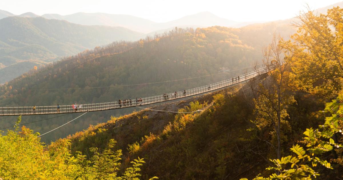 Gatlinburg SkyPark Skybridge fall