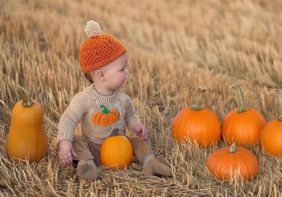 A little boy sits in a field surrounded by pumpkins