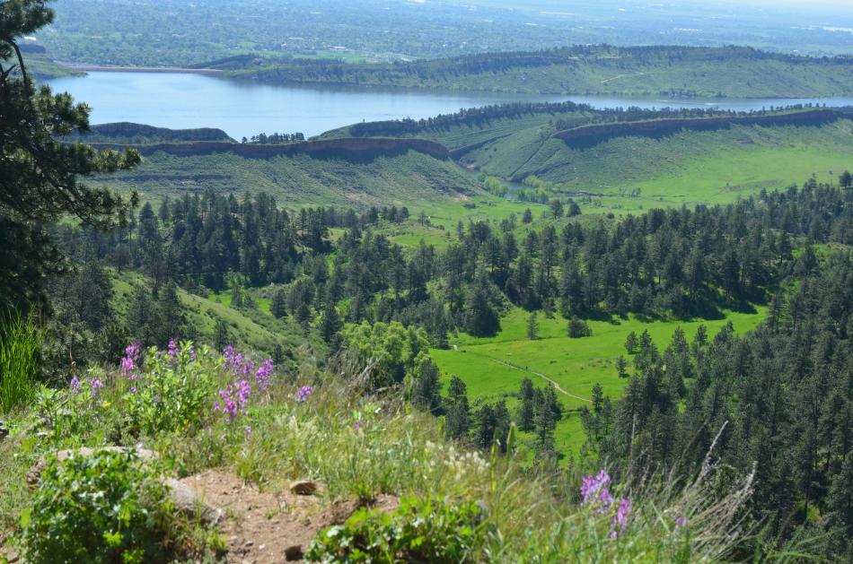 Hike to Arthur's Rock in Lory State Park overlooking the reservoir and wildflowers.