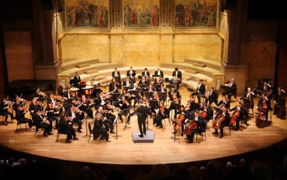 Princeton Symphony Orchestra Performance