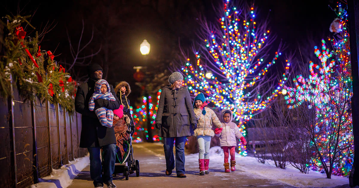 Wellfield Botanical Garden Lights