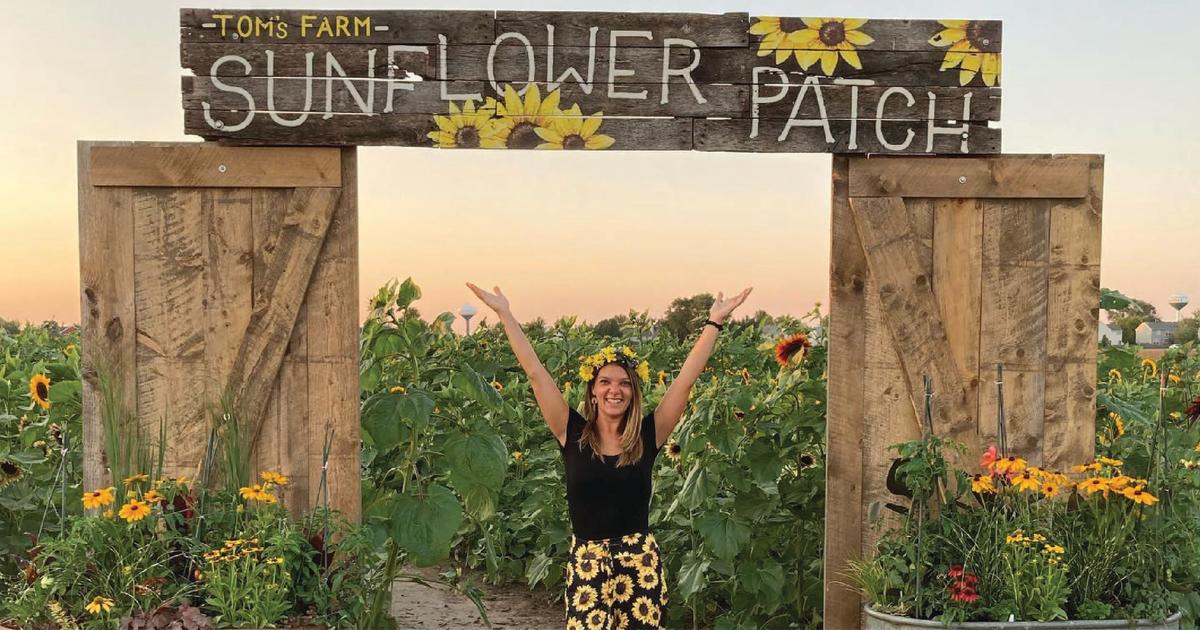 SunflowerToms