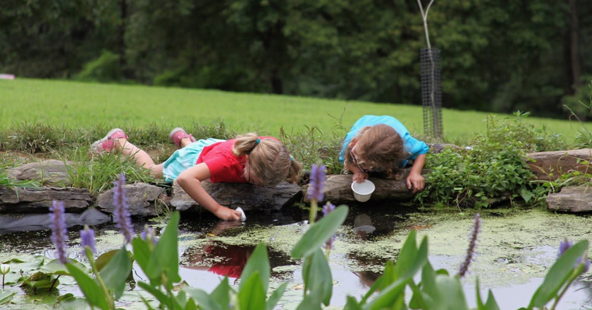 riverbend kids water nature