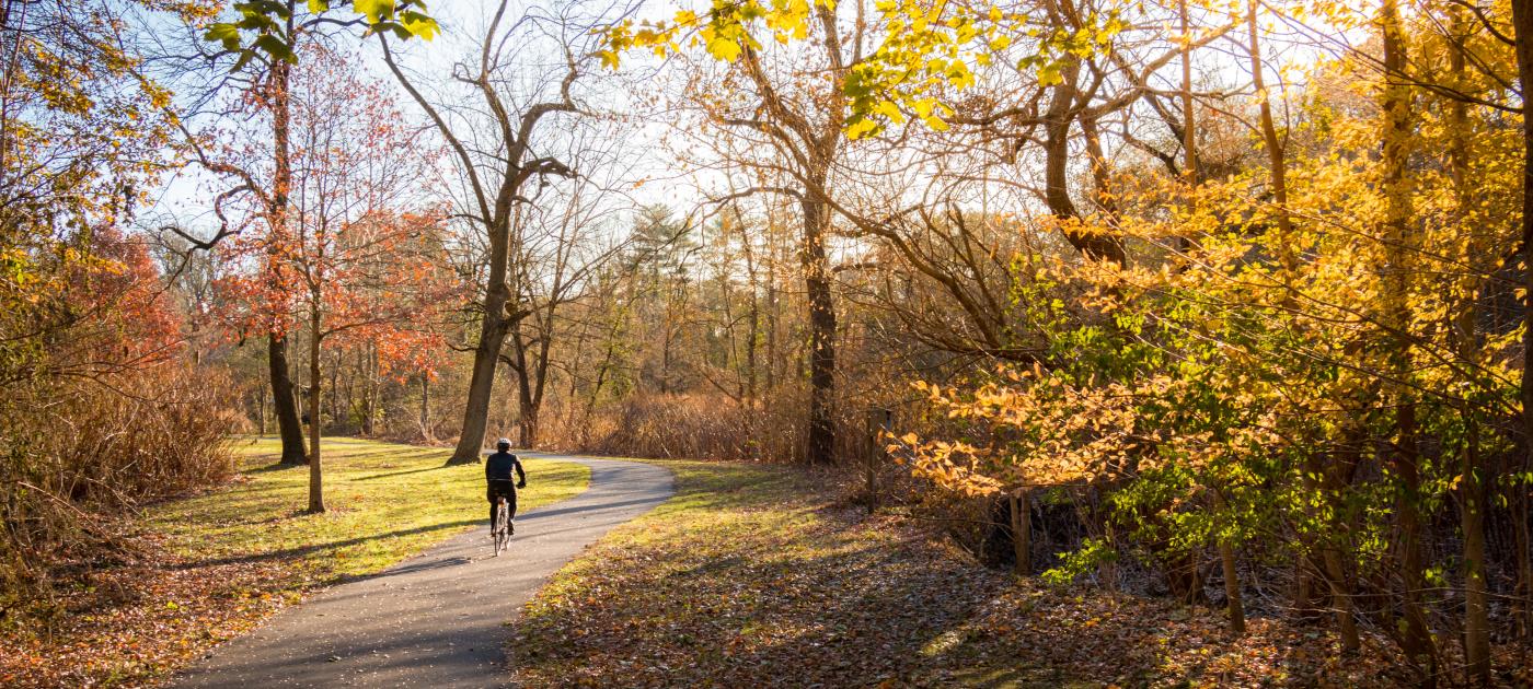 Bronx River Cyclist
