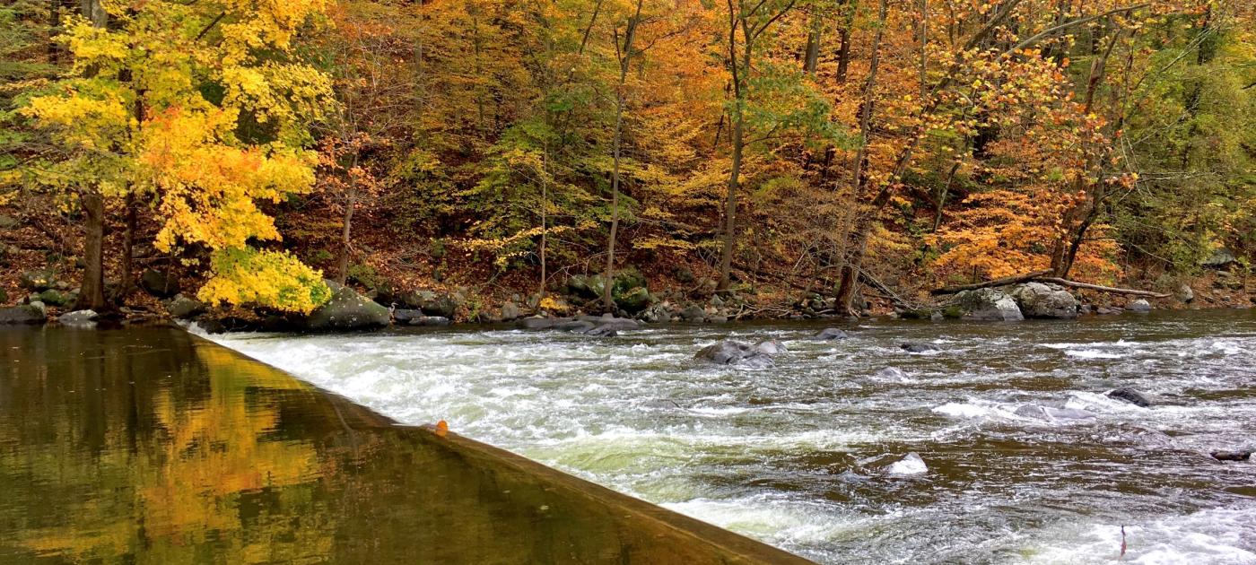 Sleepy Hollow Fall