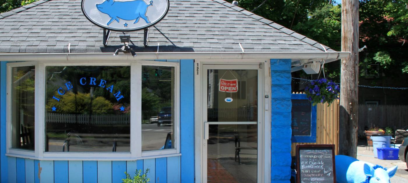 Blue Pig Ice Cream