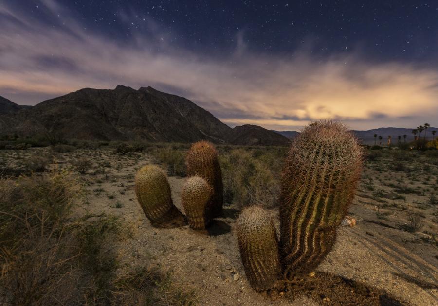 Anza Borrego stargazing sky