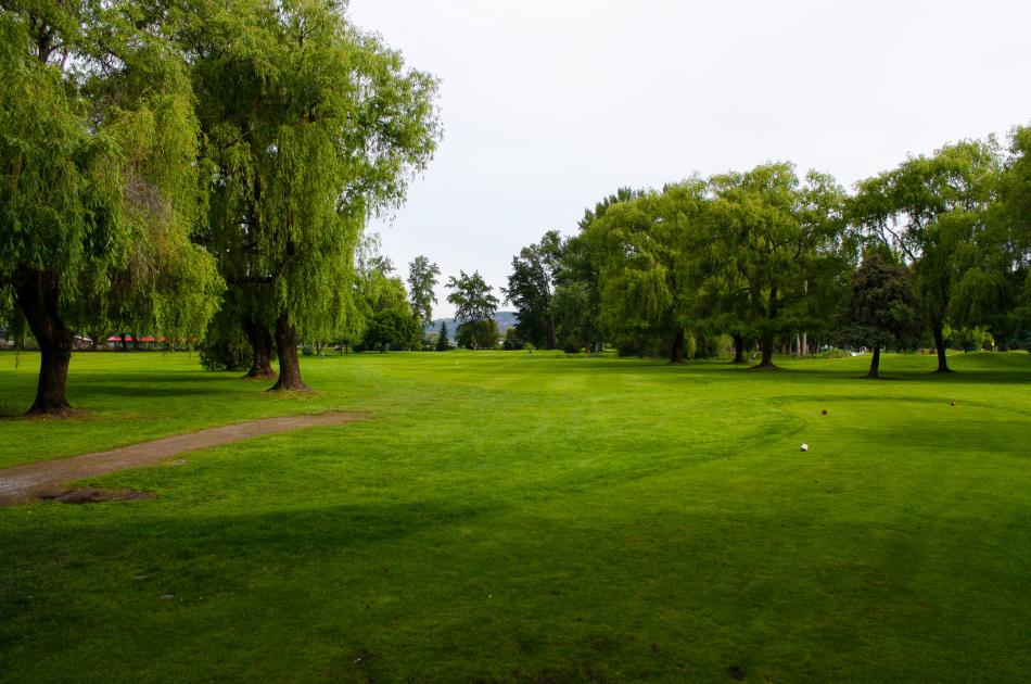 Mission Creek Golf Course Image 1
