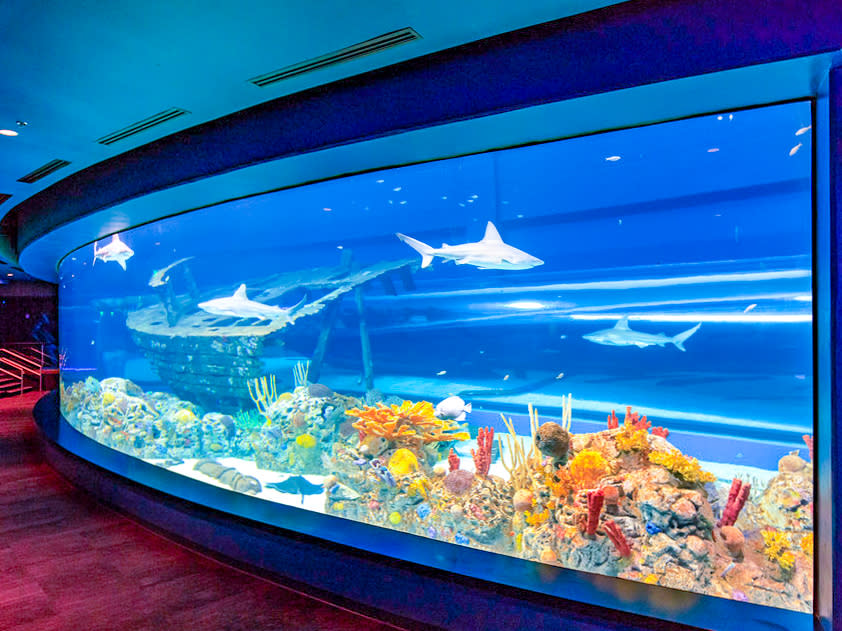Aquarium attraction safety