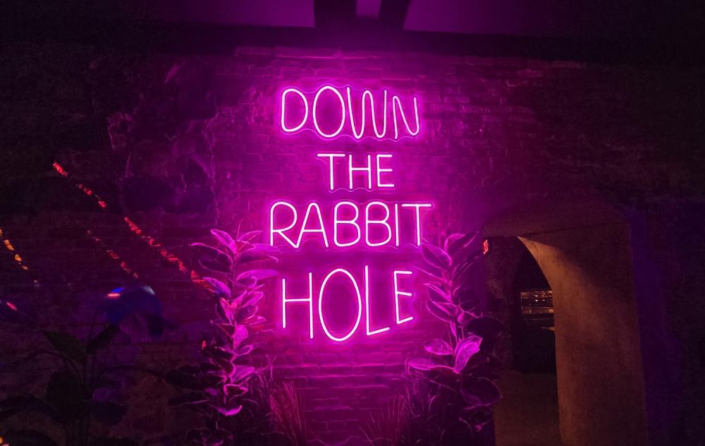 Pink neon sign lit up that says "Down the rabbit hole"