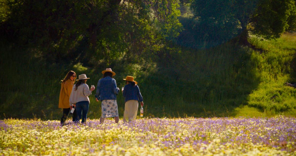 Wildflowers