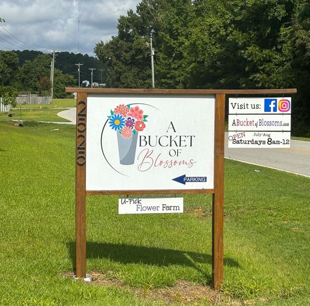 A Bucket of Blossoms