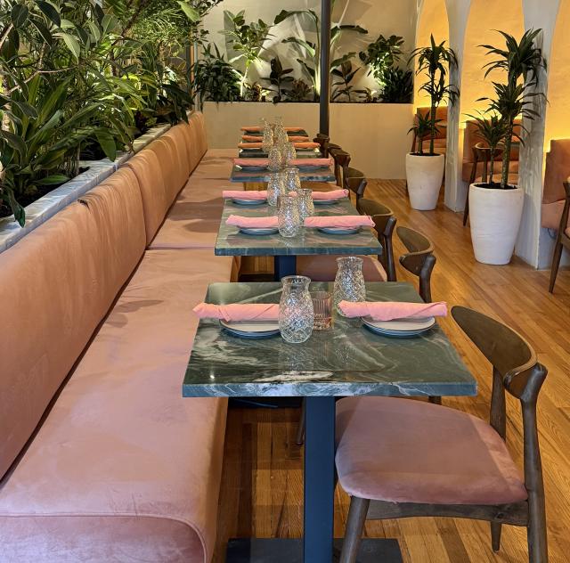 Aaktun Coffee Interior