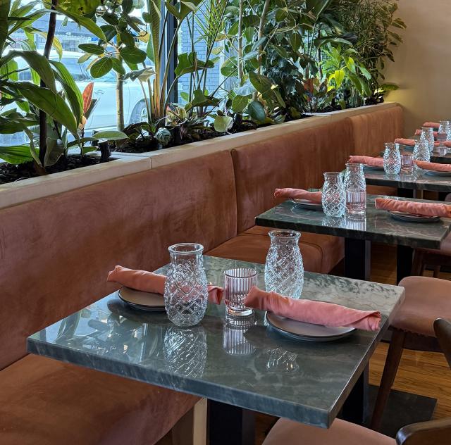 Aaktun Coffee Interior