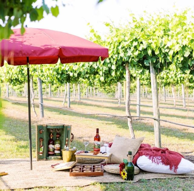 Gregory Picnics in the Vineyards