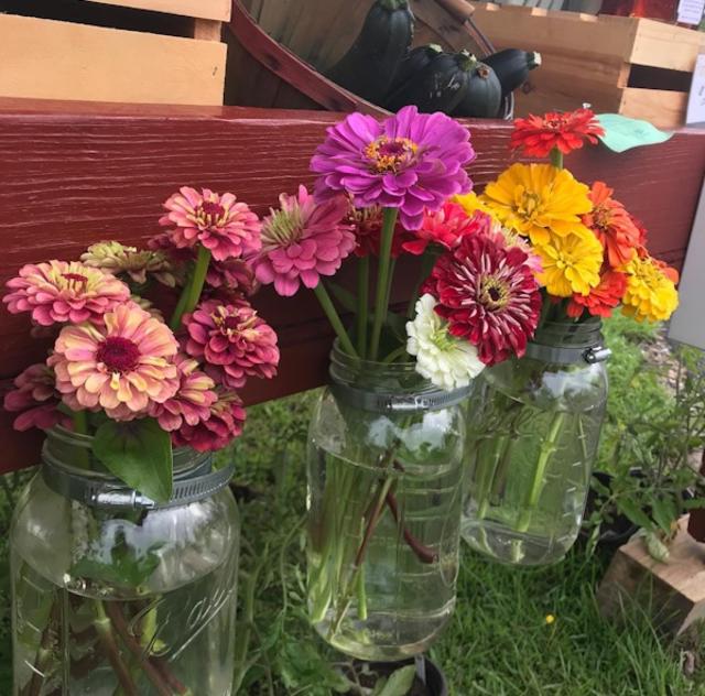 Picalily Farm flowers