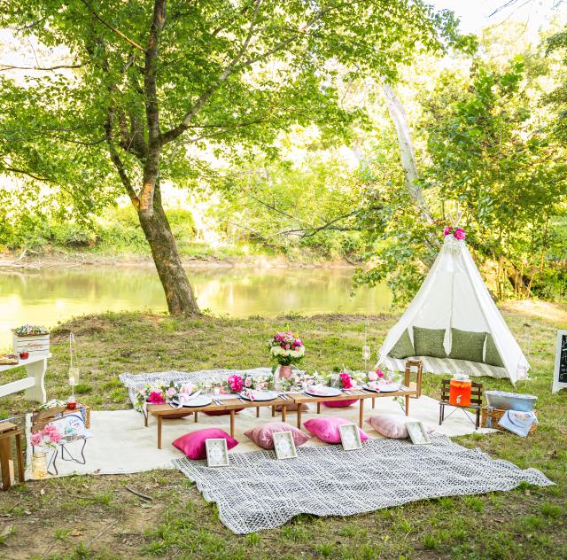picnic 1