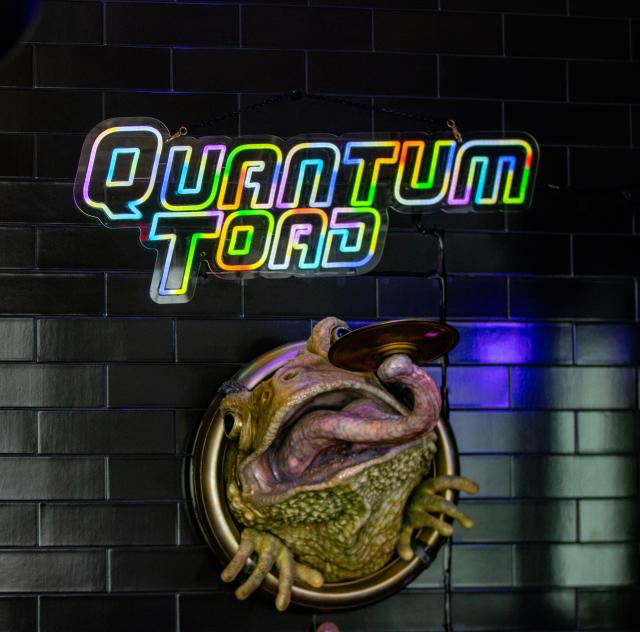 Quantum Toad
