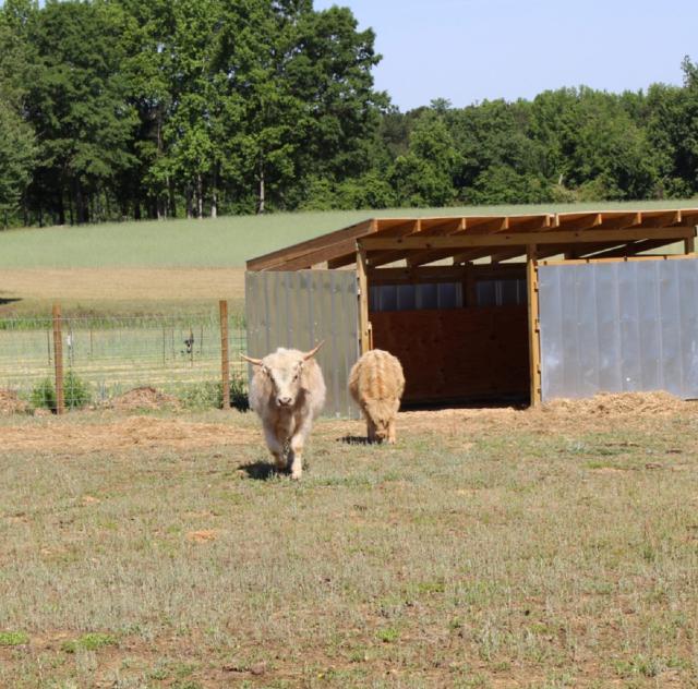 Sunset Acres at Parrish Farms