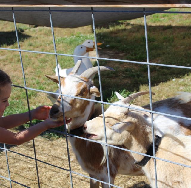 Sunset Acres at Parrish Farms