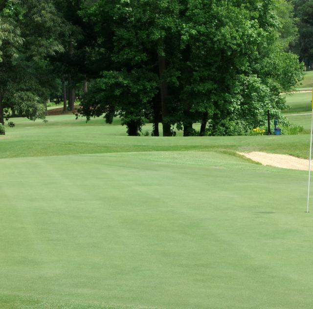Golf course 3