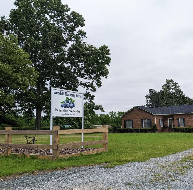 Wendell Blueberry Farm sign