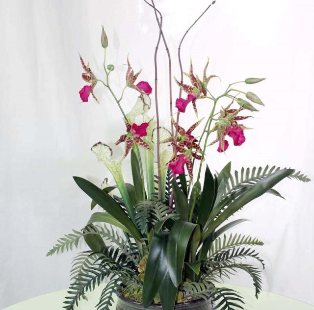 Flowers by the Neuse