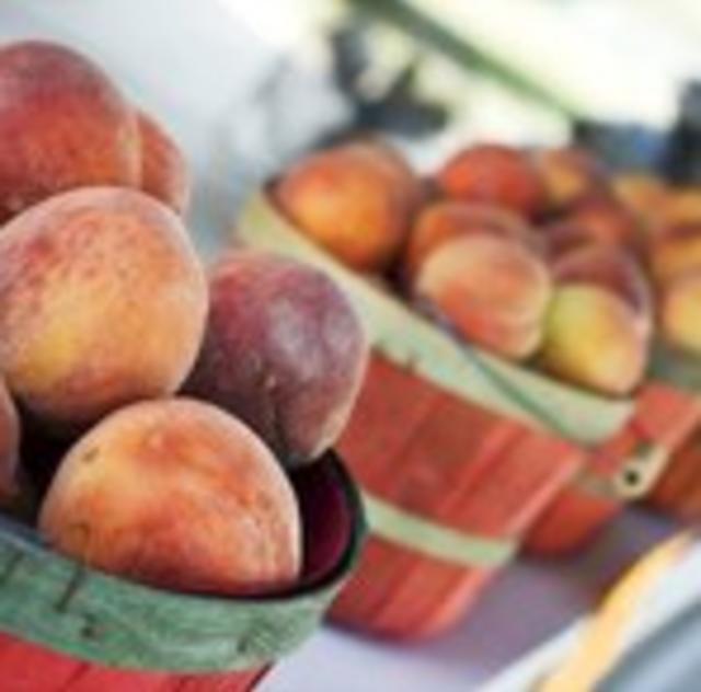Thompson Orchard Peaches