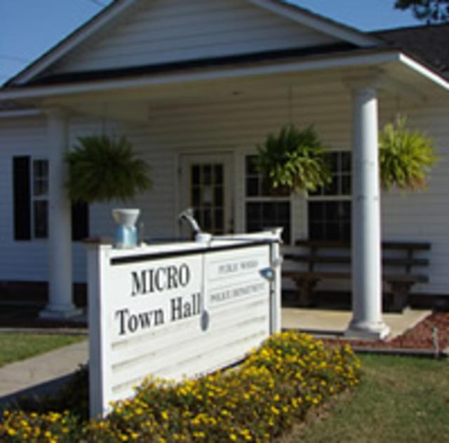 Micro Town Hall
