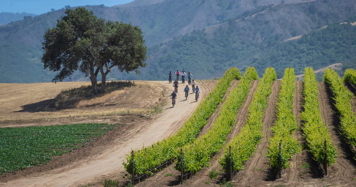 Vinecycle Ebike Tour