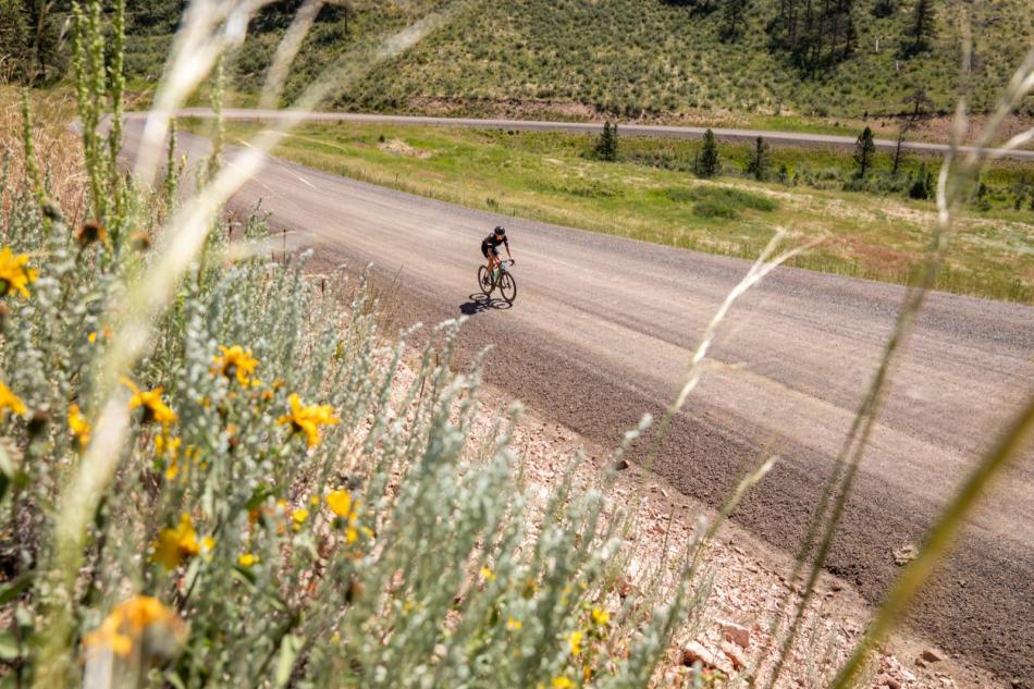 a person riding a bike on a dirt road with sunflowers in the foreground