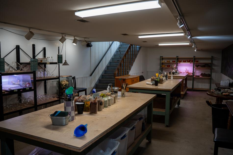 Stem & Roots, a unique houseplant boutique located in Old Town Fort Collins, features a Terrarium Bar, plant swaps and workshops.