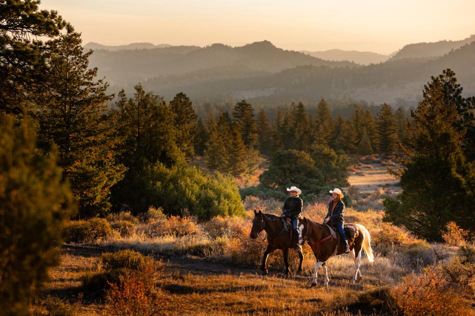 Two people riding their horses through grasses and evergreen trees at golden hour