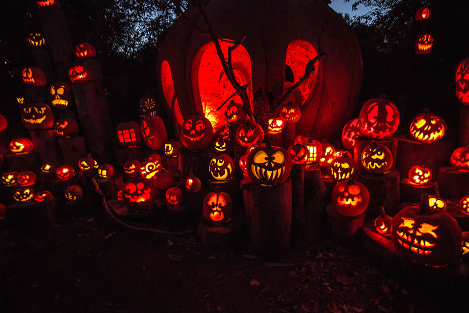 Jack-O-Lantern Spectacular