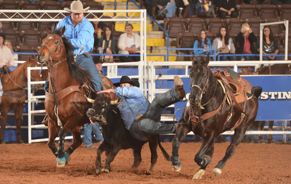 Rodeo Austin 2021 Junior Livestock Show Visit Austin, TX