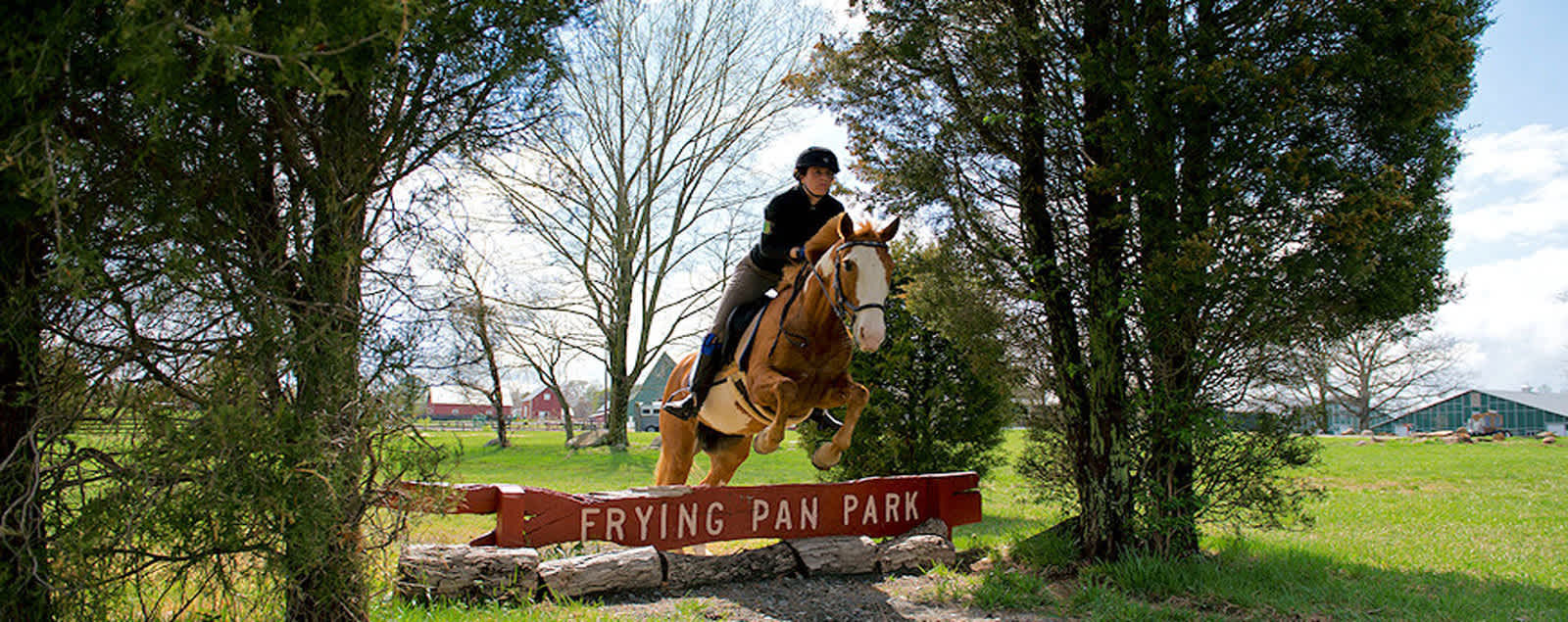 Horseback Riding in Northern Virginia Fairfax County, VA