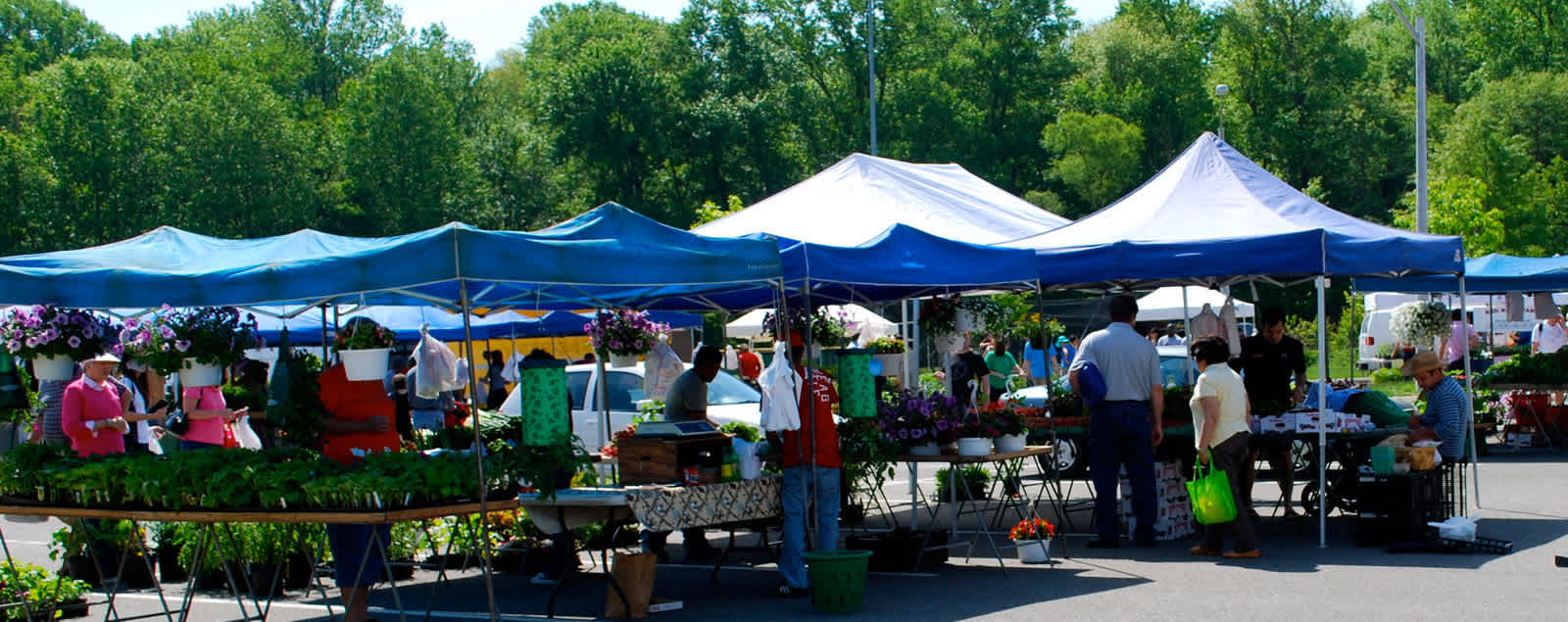 Fairfax Farmers Markets 2020 Mosaic District Farmers Market FXVA