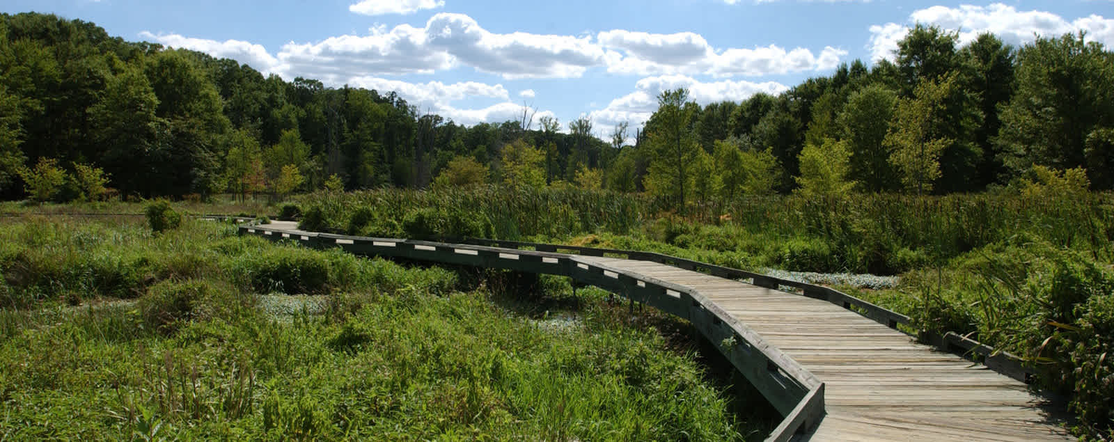 Fairfax County Parks & Recreation: Parks in Northern VA | FXVA