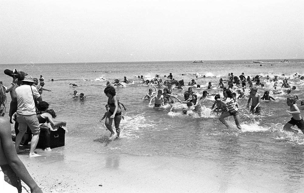 Jaws at 50