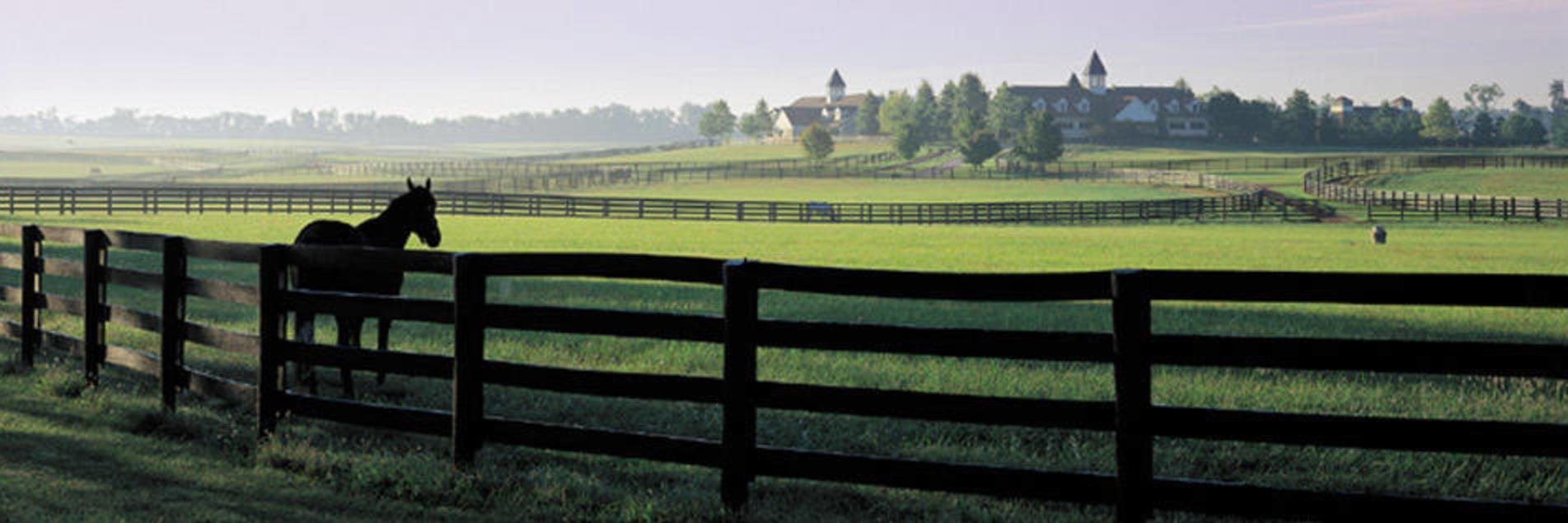 Covered Bridges In Lexington S Bluegrass Region